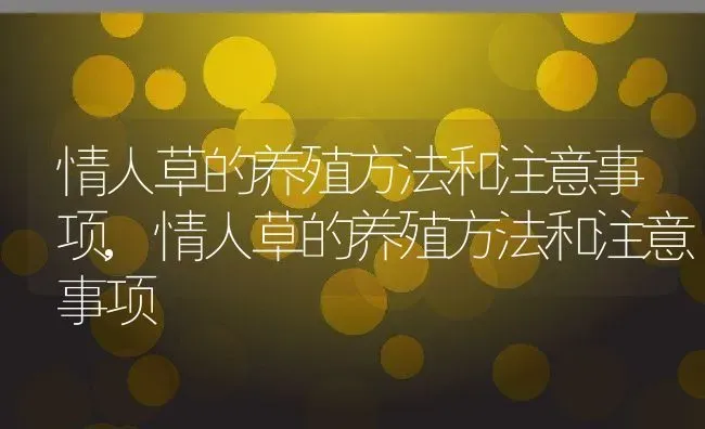 情人草的养殖方法和注意事项,情人草的养殖方法和注意事项 | 养殖科普