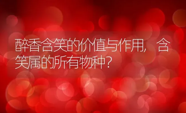 醉香含笑的价值与作用,含笑属的所有物种？ | 养殖科普