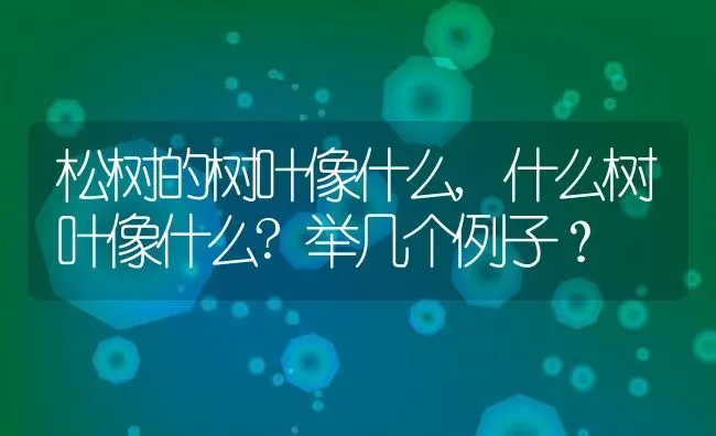 松树的树叶像什么,什么树叶像什么?举几个例子？ | 养殖科普