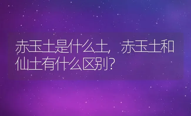 赤玉土是什么土,赤玉土和仙土有什么区别？ | 养殖科普