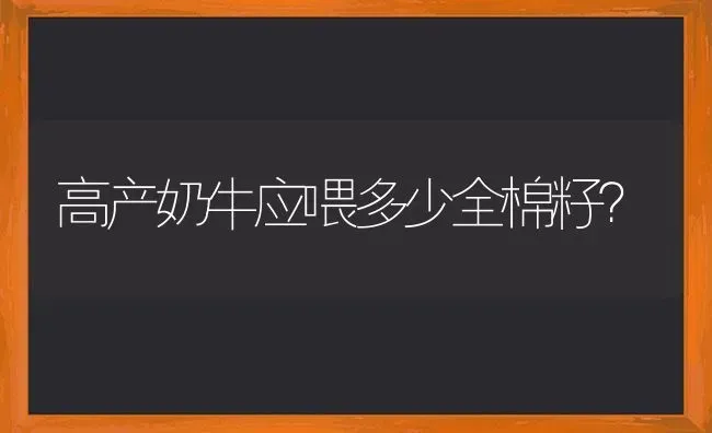 高产奶牛应喂多少全棉籽? | 养殖知识