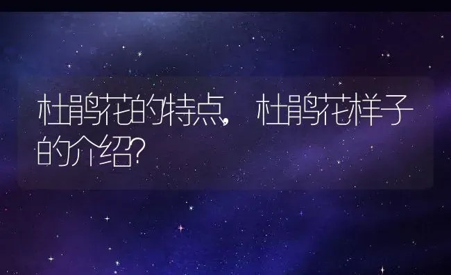杜鹃花的特点,杜鹃花样子的介绍？ | 养殖学堂