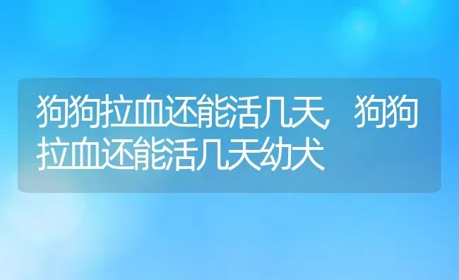 狗狗拉血还能活几天,狗狗拉血还能活几天幼犬 | 养殖资料