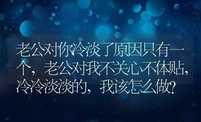 老公对你冷淡了原因只有一个,老公对我不关心不体贴，冷冷淡淡的，我该怎么做？ | 养殖科普