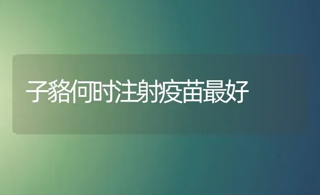 子貉何时注射疫苗最好 | 养殖知识