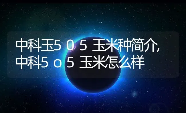 中科玉505玉米种简介,中科5o5玉米怎么样 | 养殖学堂