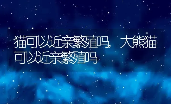 猫可以近亲繁殖吗,大熊猫可以近亲繁殖吗 | 养殖科普