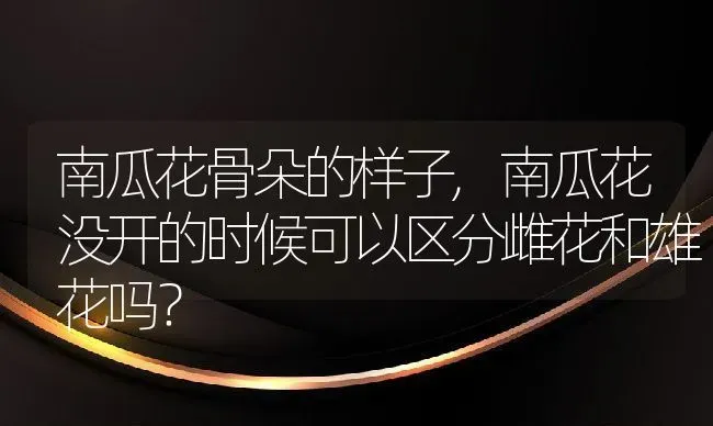 南瓜花骨朵的样子,南瓜花没开的时候可以区分雌花和雄花吗？ | 养殖科普