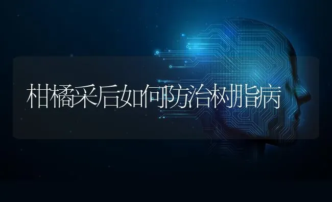 柑橘采后如何防治树脂病 | 养殖技术大全