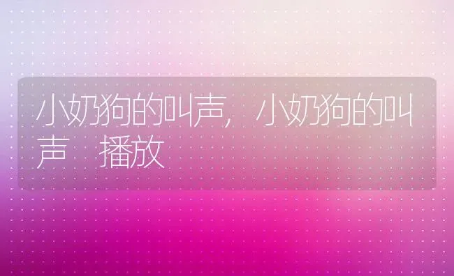 小奶狗的叫声,小奶狗的叫声 播放 | 养殖科普
