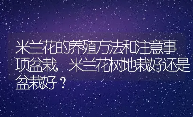 米兰花的养殖方法和注意事项盆栽,米兰花树地栽好还是盆栽好？ | 养殖科普