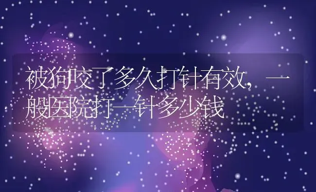 被狗咬了多久打针有效,一般医院打一针多少钱 | 养殖科普