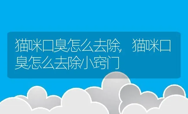 猫咪口臭怎么去除,猫咪口臭怎么去除小窍门 | 养殖资料