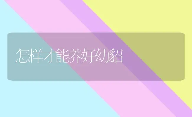 怎样才能养好幼貂 | 养殖技术大全