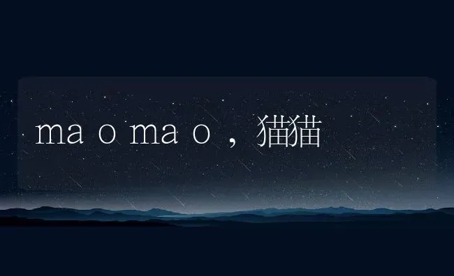 maomao,猫猫 | 养殖学堂