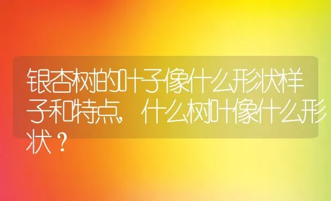 俄狄浦斯情结是什么意思,什么叫“俄狄浦斯阶段”？出自哪个理论？ | 养殖科普