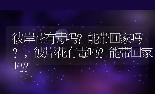 桂皮树值钱吗市场价格,10月份可以植桂皮树吗？ | 养殖科普