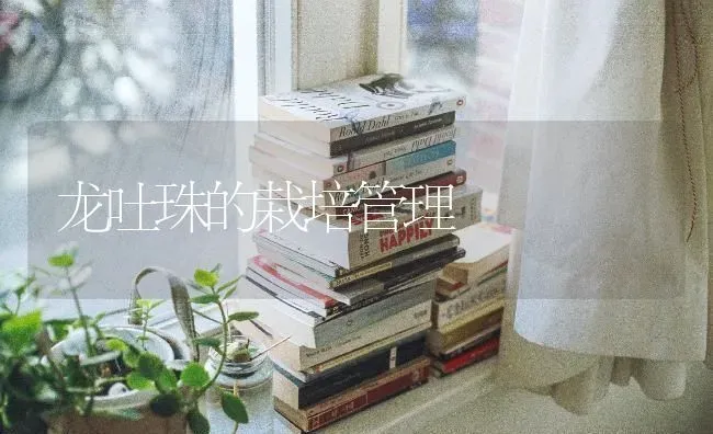 龙吐珠的栽培管理 | 养殖知识