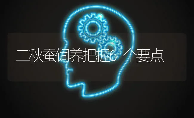 二秋蚕饲养把握6个要点 | 养殖技术大全