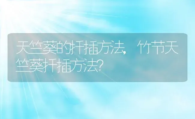 母画眉可以引公鸟吗,画眉母鸟引公鸟叫 | 养殖科普