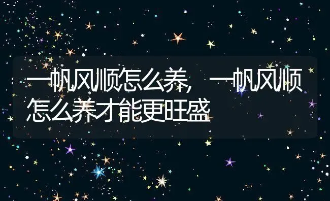 一帆风顺怎么养,一帆风顺怎么养才能更旺盛 | 养殖资料