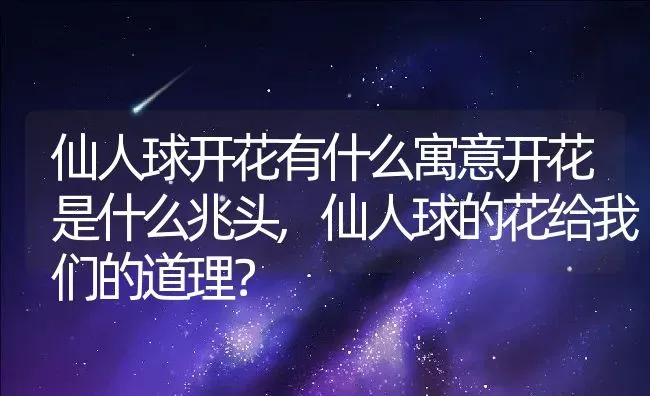 仙人球开花有什么寓意开花是什么兆头,仙人球的花给我们的道理？ | 养殖科普