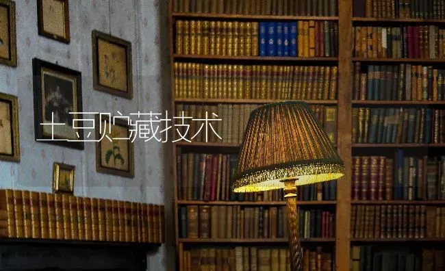 土豆贮藏技术 | 养殖知识