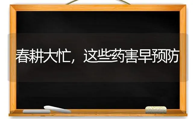 春耕大忙,这些药害早预防 | 养殖技术大全