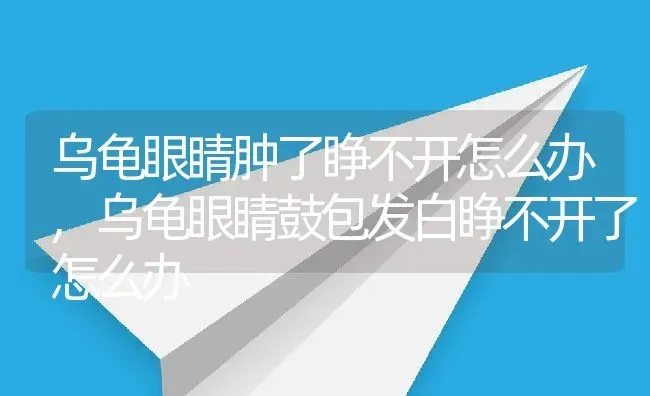 乌龟眼睛肿了睁不开怎么办,乌龟眼睛鼓包发白睁不开了怎么办 | 养殖资料