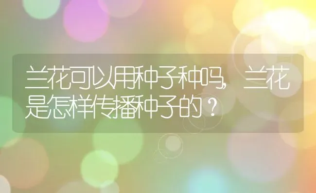 兰花可以用种子种吗,兰花是怎样传播种子的？ | 养殖科普