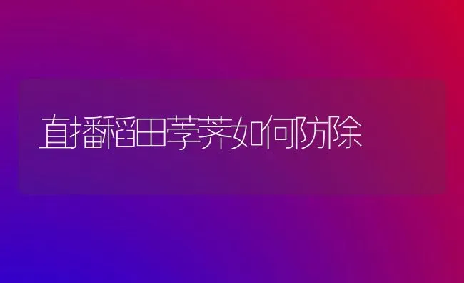 直播稻田荸荠如何防除 | 养殖知识