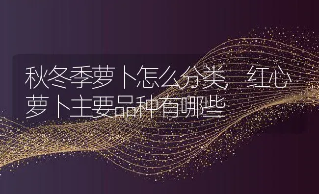 秋冬季萝卜怎么分类,红心萝卜主要品种有哪些 | 养殖学堂