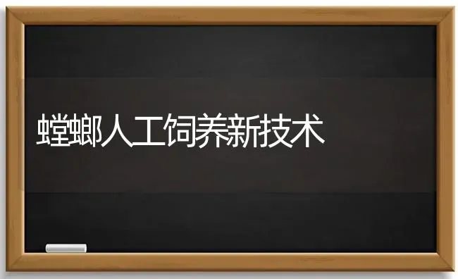 螳螂人工饲养新技术 | 养殖技术大全