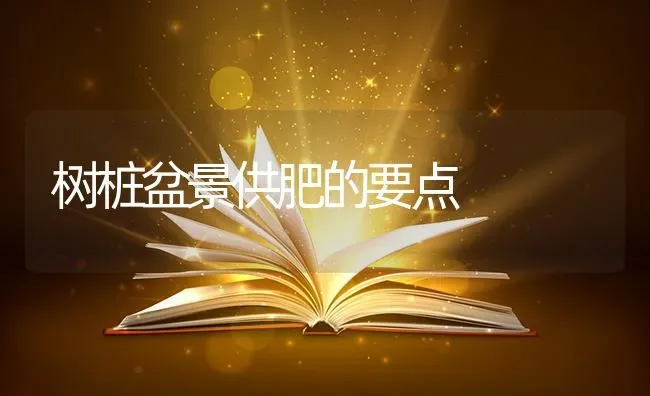 树桩盆景供肥的要点 | 养殖知识