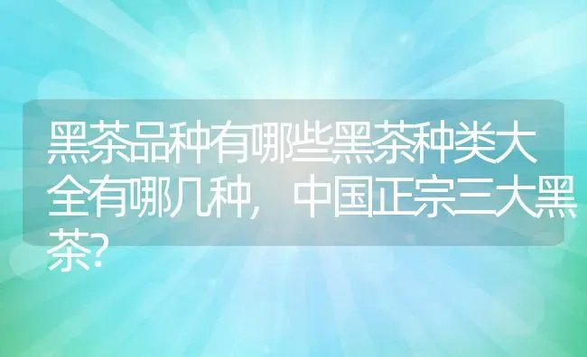 黑茶品种有哪些黑茶种类大全有哪几种,中国正宗三大黑茶？ | 养殖科普