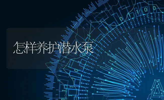 怎样养护潜水泵 | 养殖知识