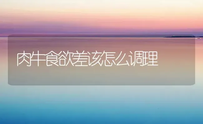 肉牛食欲差该怎么调理 | 养殖技术大全