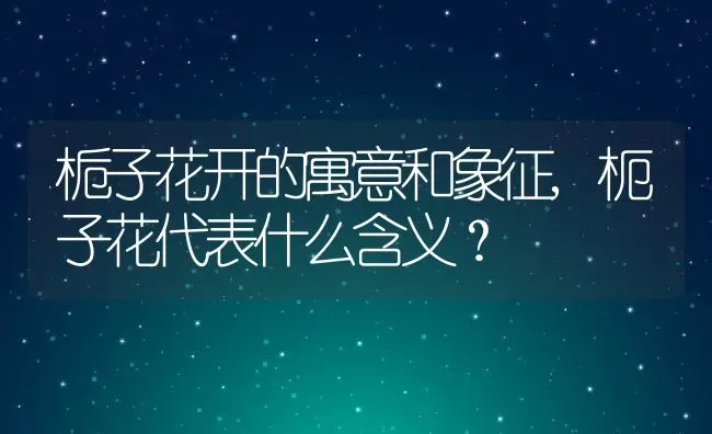 栀子花开的寓意和象征,枙子花代表什么含义？ | 养殖科普