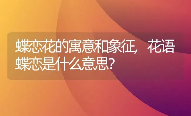 蝶恋花的寓意和象征,花语蝶恋是什么意思？ | 养殖科普