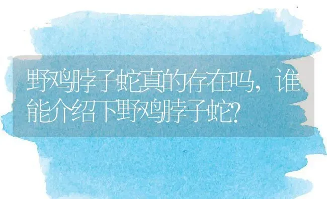 野鸡脖子蛇真的存在吗,谁能介绍下野鸡脖子蛇？ | 养殖科普