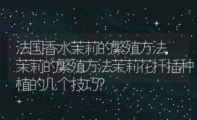 法国香水茉莉的繁殖方法,茉莉的繁殖方法茉莉花扦插种植的几个技巧？ | 养殖科普