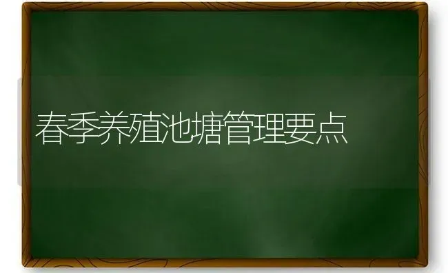 春季养殖池塘管理要点 | 养殖技术大全