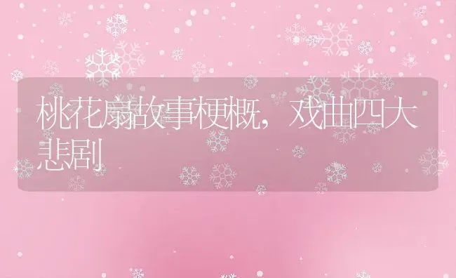 桃花扇故事梗概,戏曲四大悲剧 | 养殖学堂