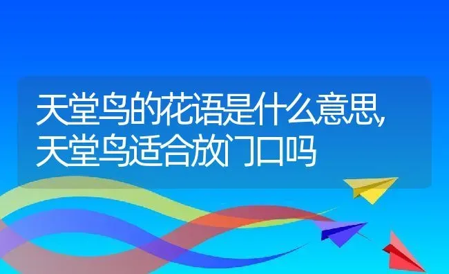 天堂鸟的花语是什么意思,天堂鸟适合放门口吗 | 养殖学堂