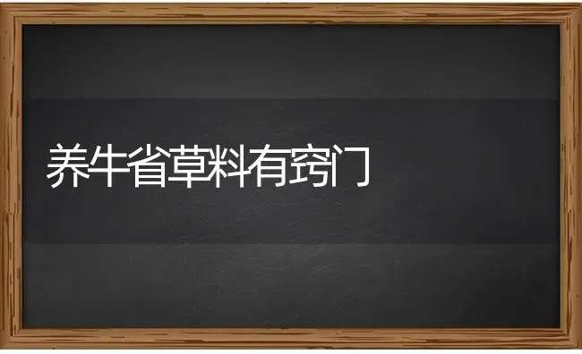 养牛省草料有窍门 | 养殖技术大全