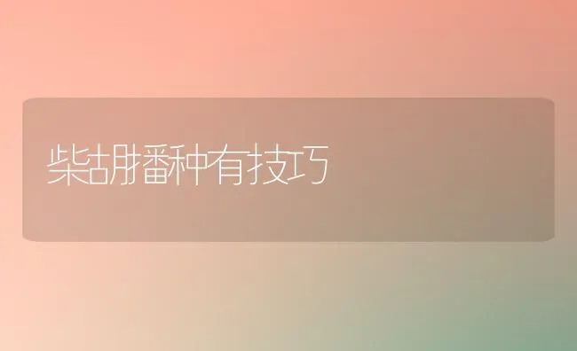 柴胡播种有技巧 | 养殖技术大全