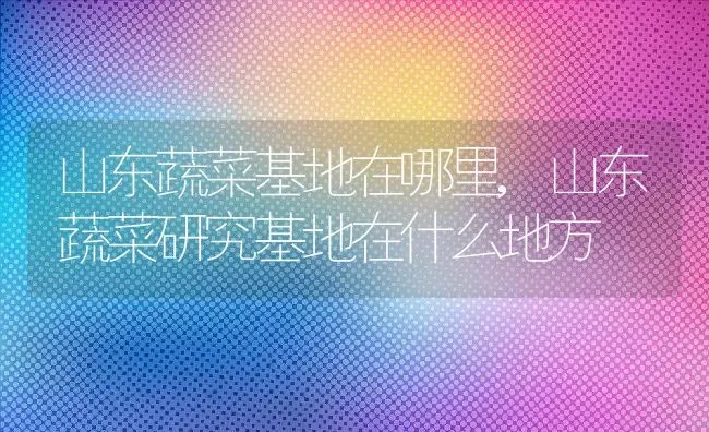 山东蔬菜基地在哪里,山东蔬菜研究基地在什么地方 | 养殖学堂