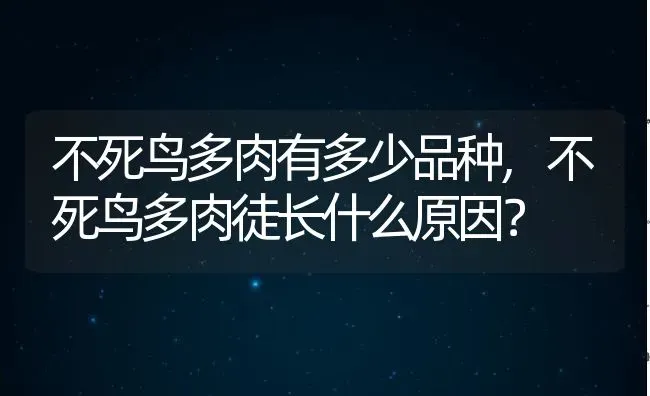 不死鸟多肉有多少品种,不死鸟多肉徒长什么原因？ | 养殖学堂