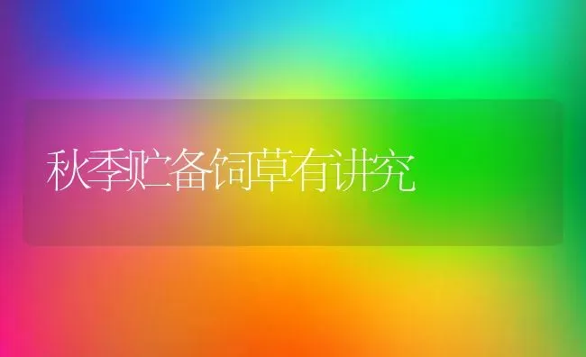 秋季贮备饲草有讲究 | 养殖知识