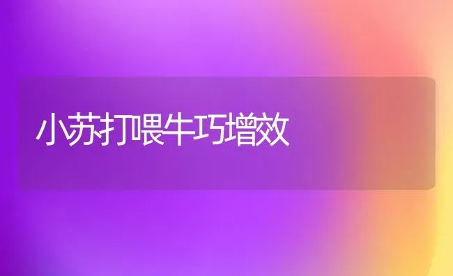 小苏打喂牛巧增效 | 养殖知识